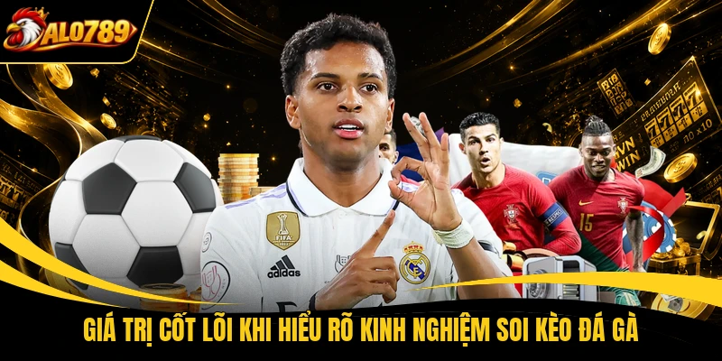 gia tri cot loi khi hieu ro kinh nghiem soi keo da ga Giá trị cốt lõi khi hiểu rõ kinh nghiệm soi kèo đá gà